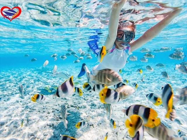 遅いお迎え ピピ島＆カイ島 サンセットツアー