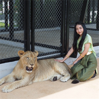 ビッグライオン(生後18～48か月)