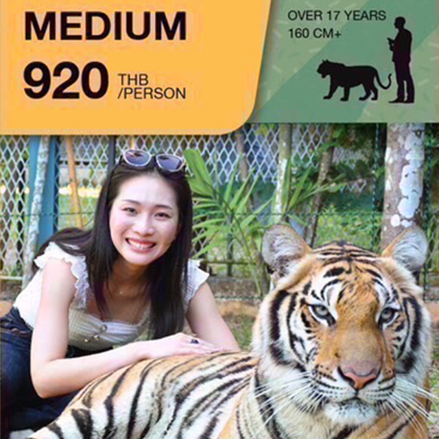 ミディアムタイガー(MIDIUM TIGER)