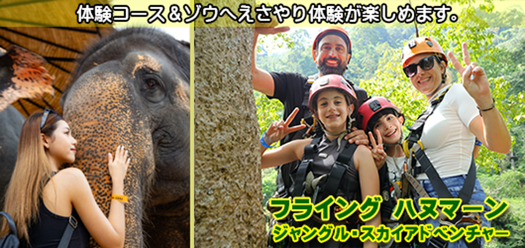 フライング ハヌマーン