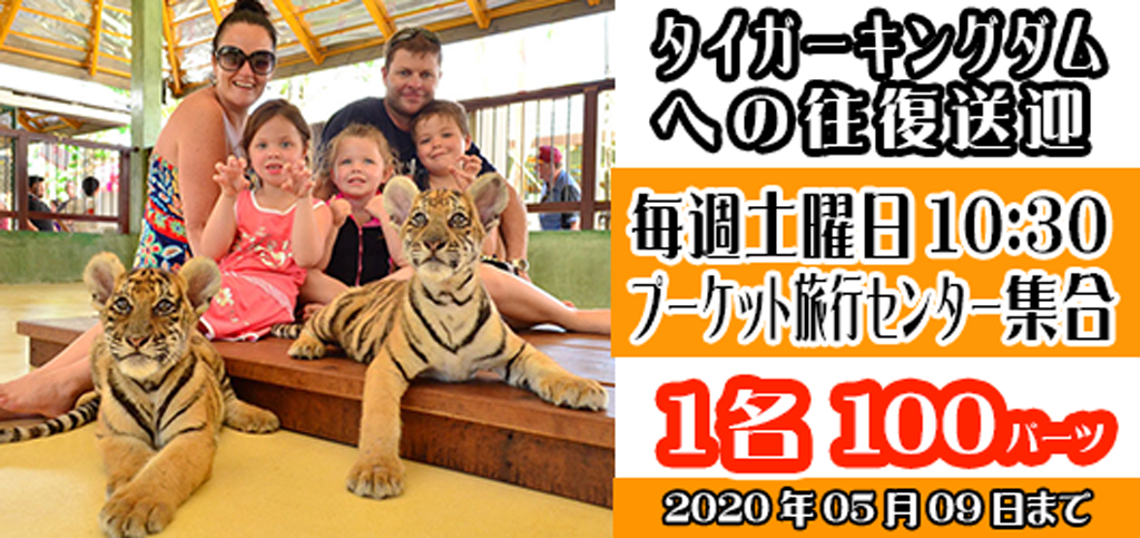 プーケット動物園 タイガーキングダム タイガーパークプーケットの手配ならプーケット旅行センターへ