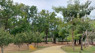 スワンルワン ラマ9世公園 ( Suan Luang King Rama IX Park )