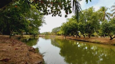 スワンルワン ラマ9世公園 ( Suan Luang King Rama IX Park )